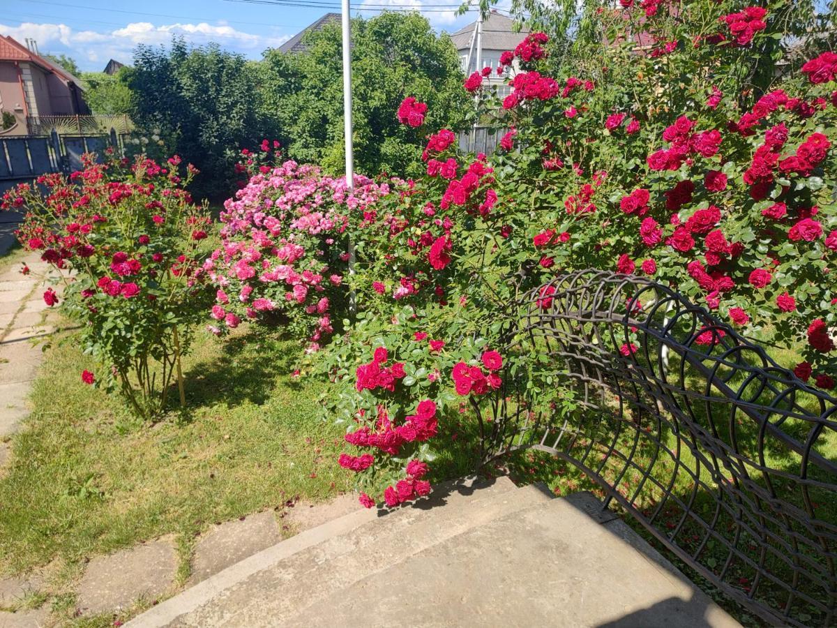"Ранчо" - Тераса Квіти Сад Διαμέρισμα Uzhhorod Εξωτερικό φωτογραφία